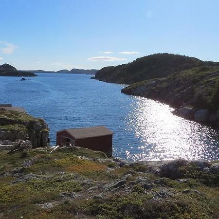 The Old Salt Box Co. - Daisy'S Place Herring Neck Екстер'єр фото